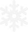 Ice Division